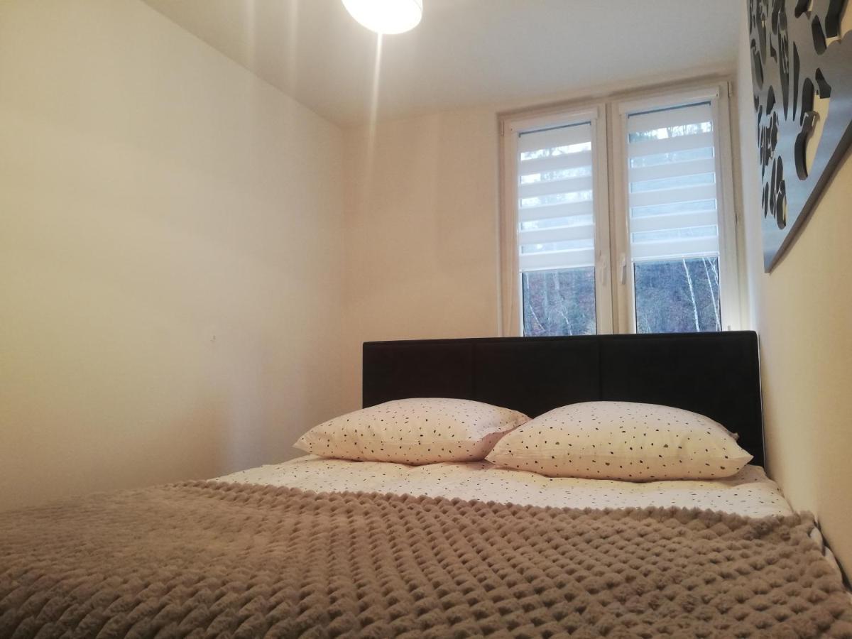 Apartament Stella Duszniki Zdrój Exterior foto